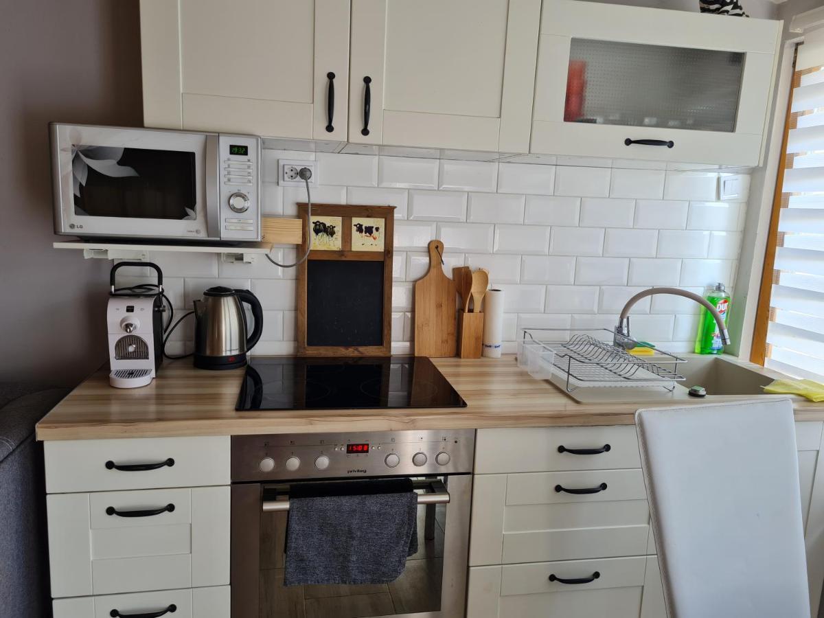 Flamingo Apartman バラトンサールソー エクステリア 写真
